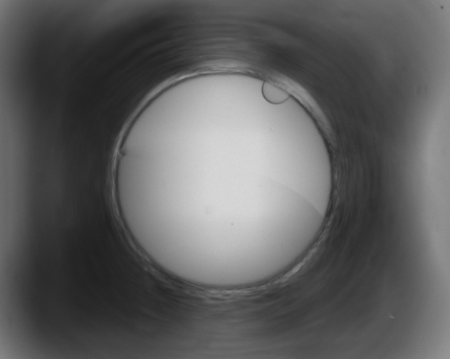 X0000087551236200705251734