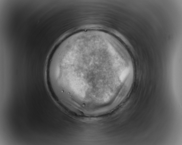 X0000087551237200705251734