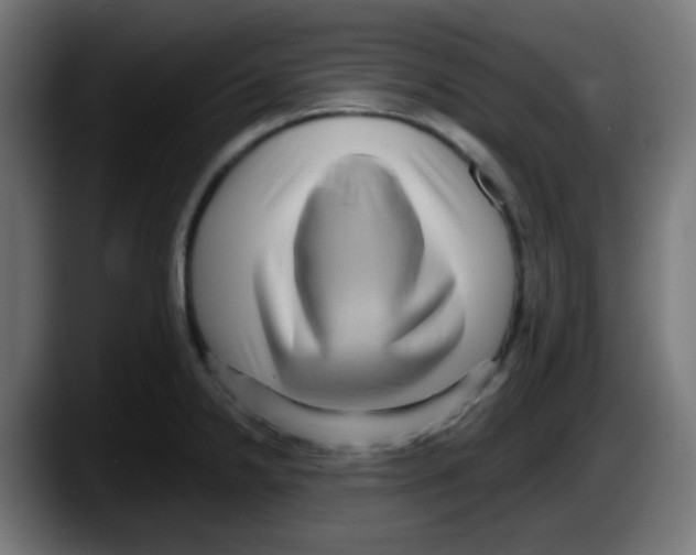 X0000087551238200705251734