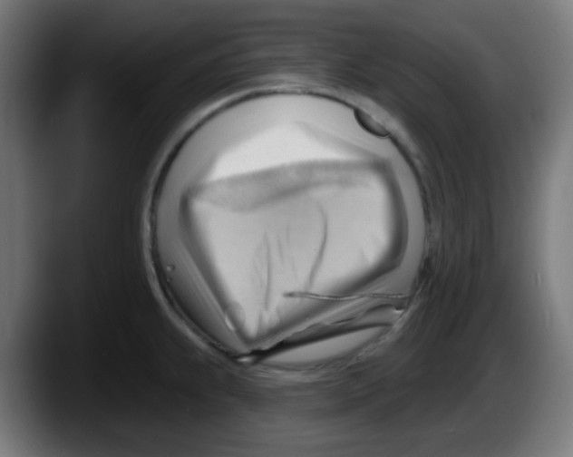 X0000087551239200705251734