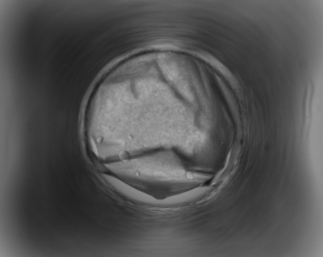 X0000087551240200705251734