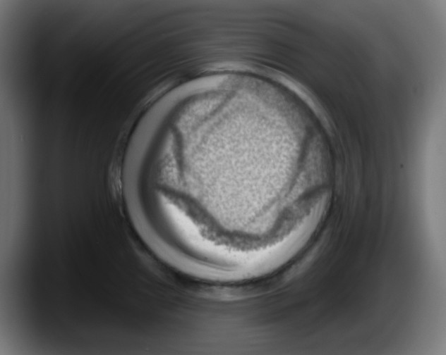 X0000087551241200705251734