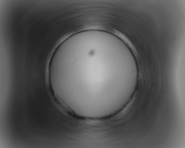 X0000087551242200705251734