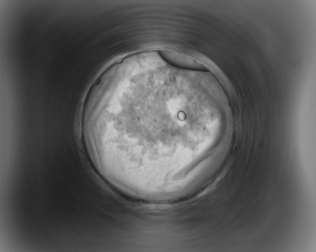 X0000087551244200705251734