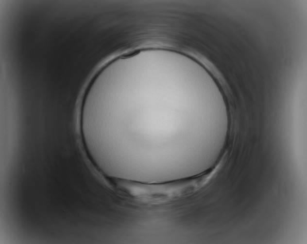 X0000087551246200705251734