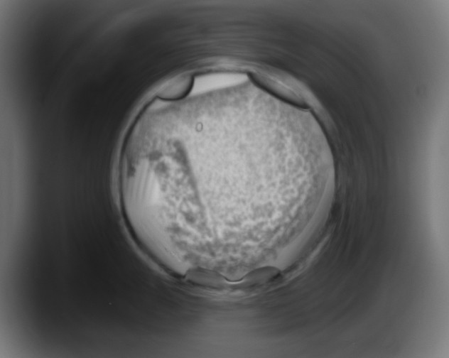 X0000087551247200705251734