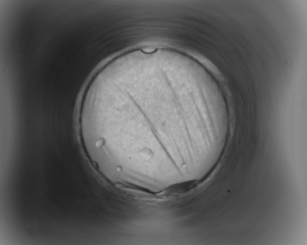 X0000087551248200705251734