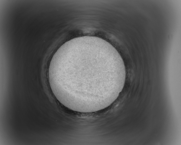 X0000087551249200705251733