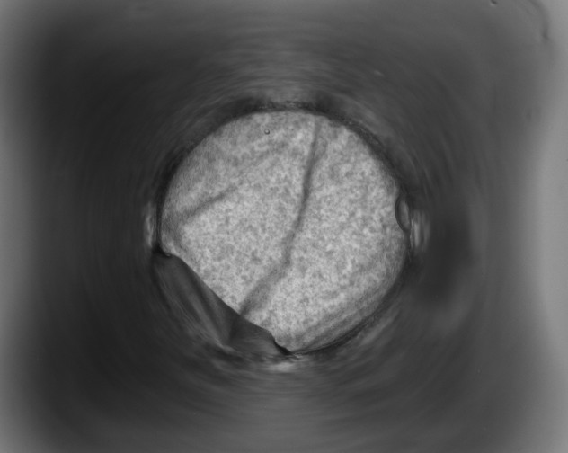 X0000087551251200705251733