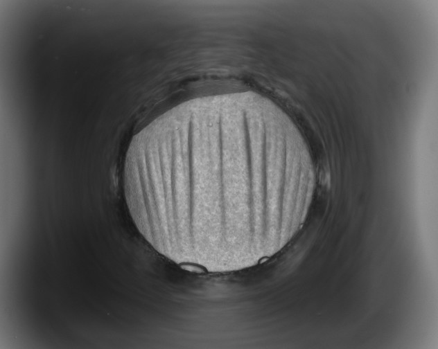 X0000087551252200705251733