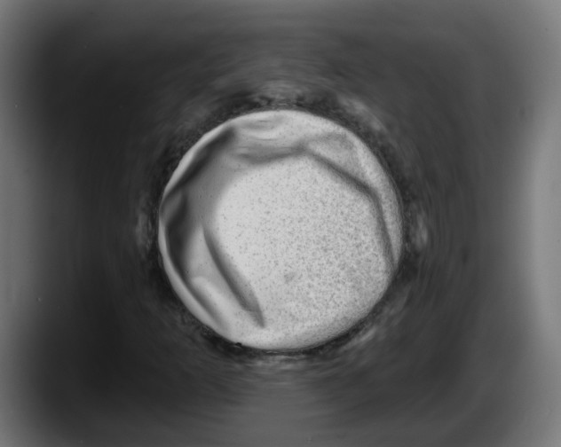 X0000087551253200705251733