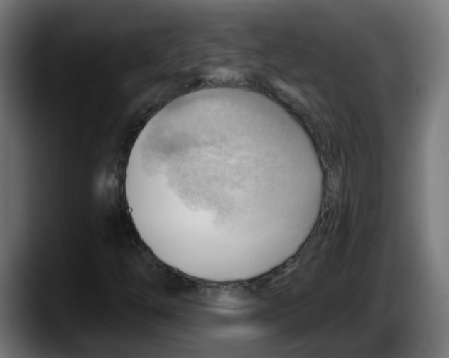 X0000087551254200705251733