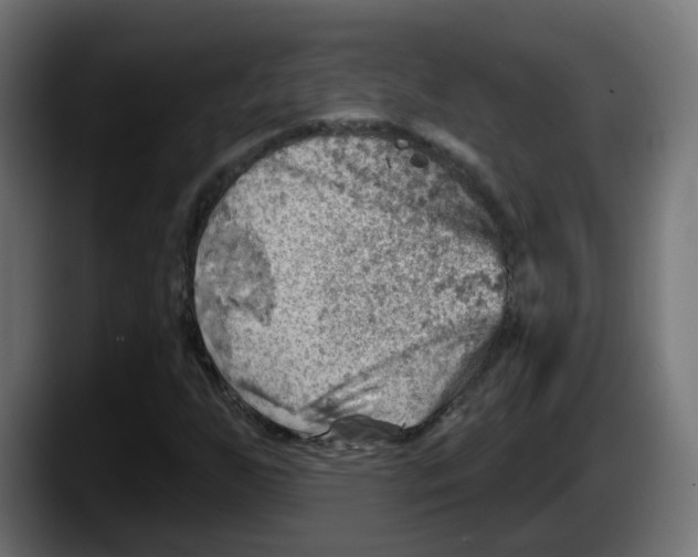 X0000087551255200705251733