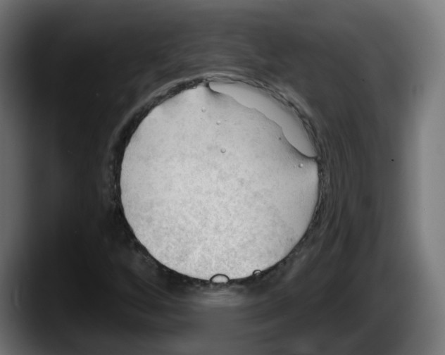 X0000087551256200705251733