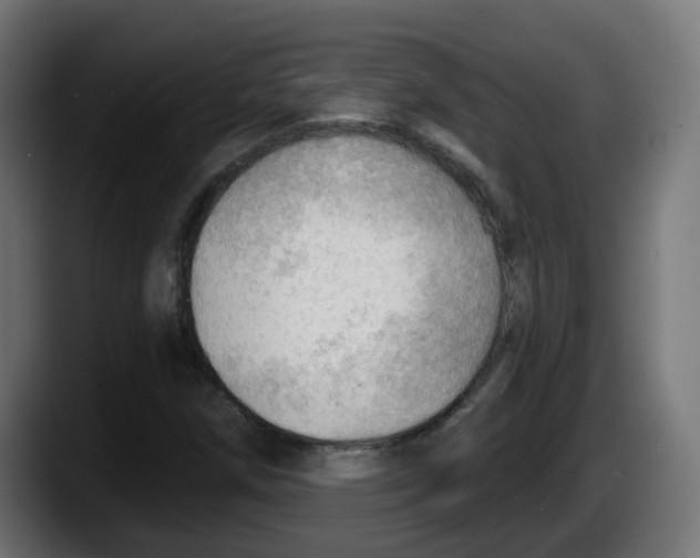 X0000087551258200705251733