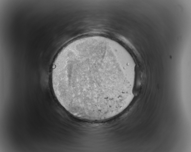 X0000087551260200705251733