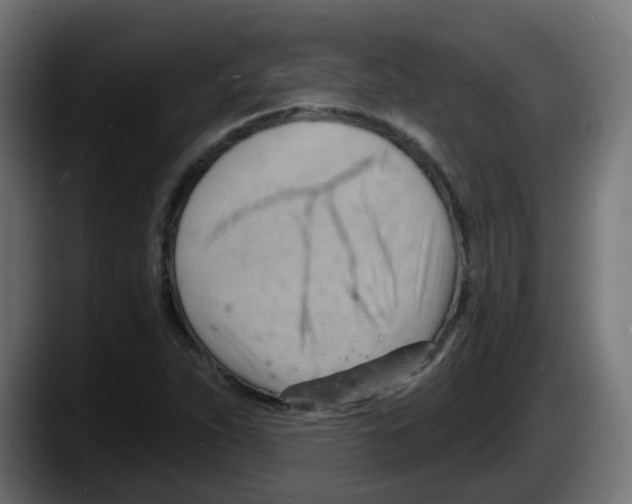 X0000087551263200705251733