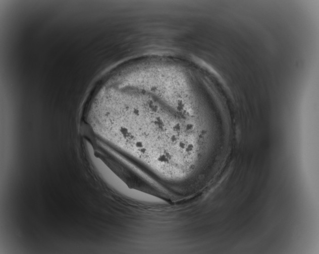 X0000087551267200705251733