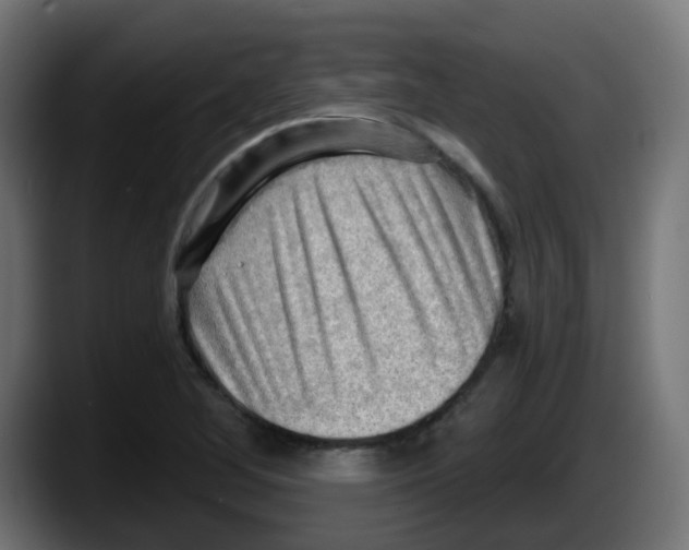 X0000087551268200705251733