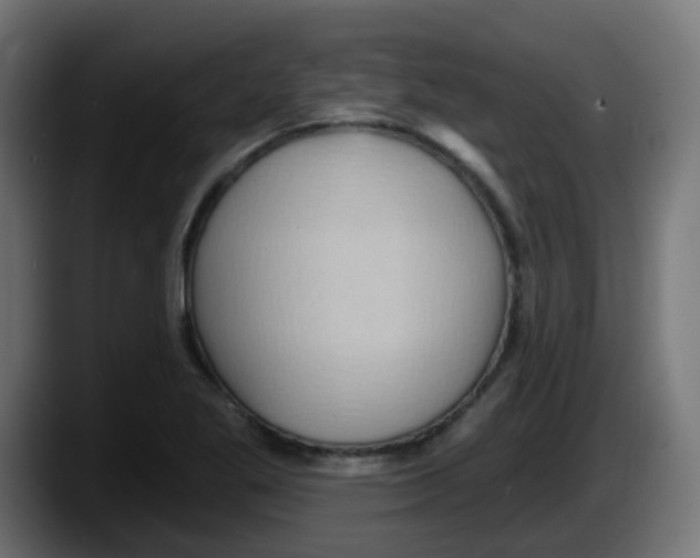 X0000087551269200705251733