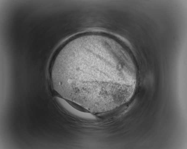 X0000087551271200705251733