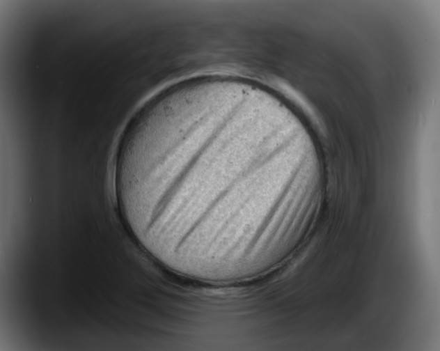 X0000087551272200705251733