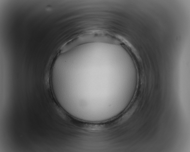 X0000087551273200705251733