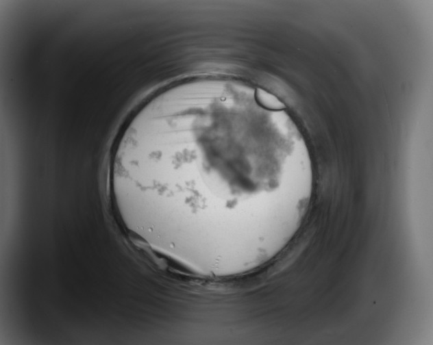 X0000087551275200705251733