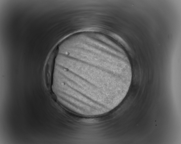 X0000087551276200705251733