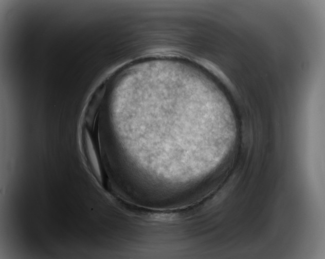 X0000087551277200705251733