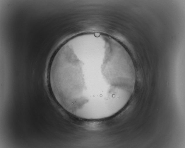 X0000087551278200705251733