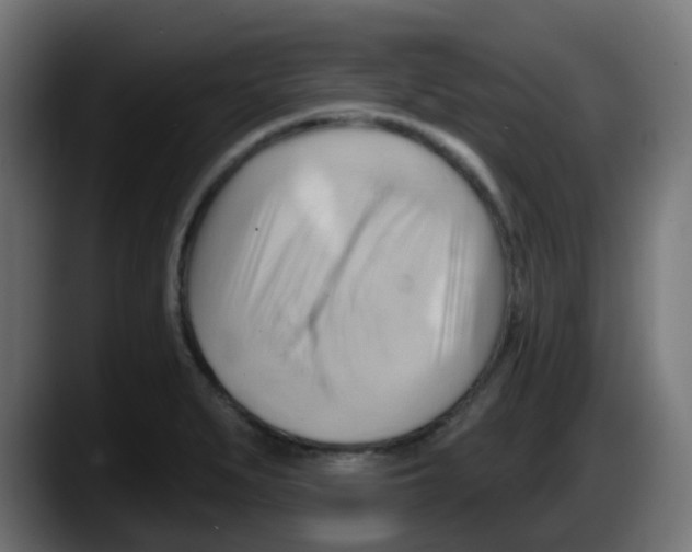 X0000087551279200705251733