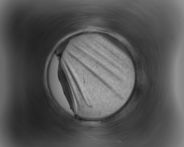 X0000087551280200705251733