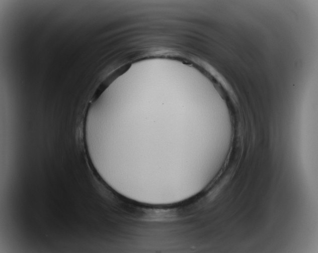 X0000087551281200705251733