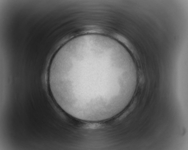 X0000087551282200705251733