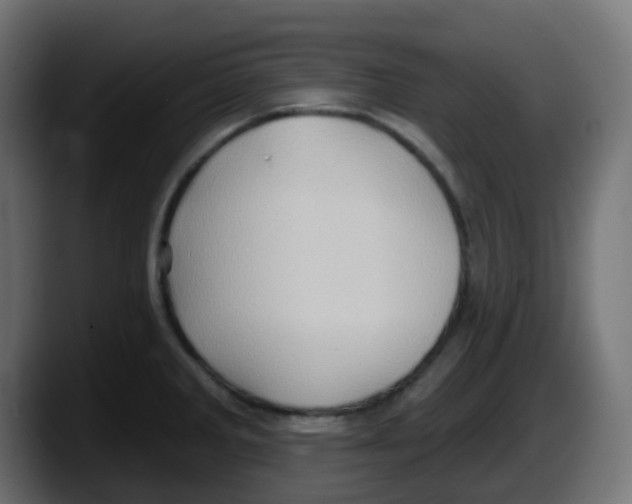 X0000087551285200705251733