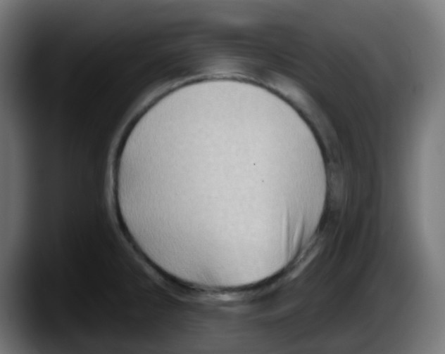 X0000087551286200705251733