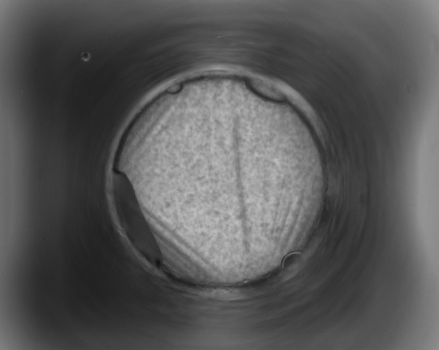 X0000087551287200705251733