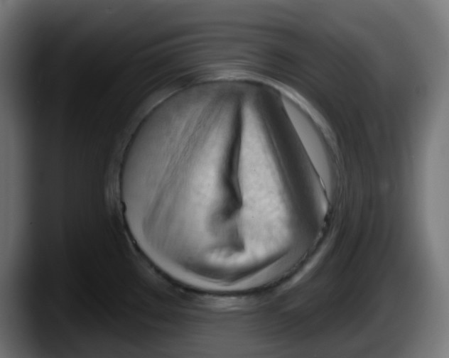 X0000087551289200705251733