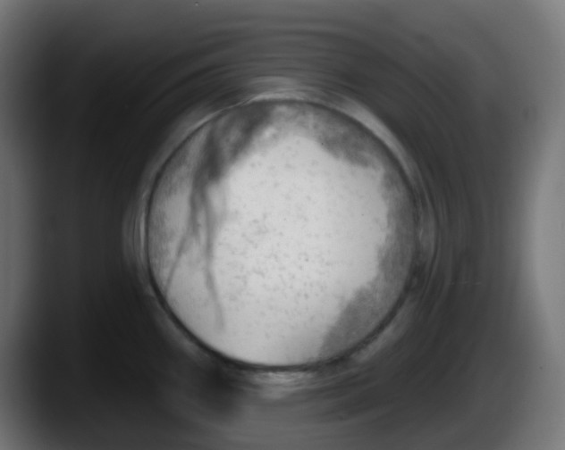 X0000087551290200705251733