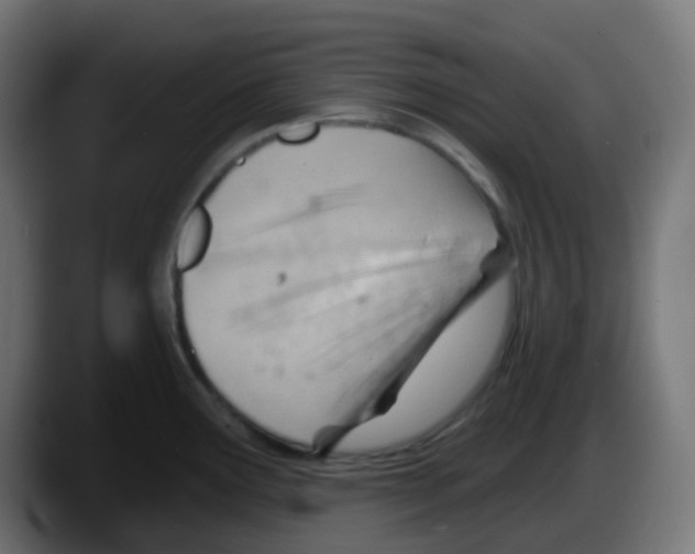 X0000087551291200705251733