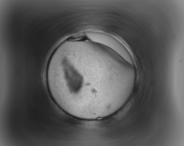 X0000087551293200705251733