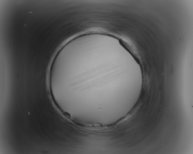 X0000087551295200705251732