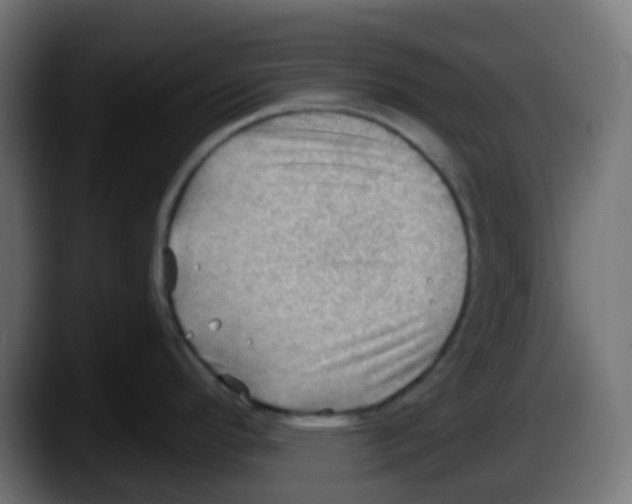 X0000087551296200705251732