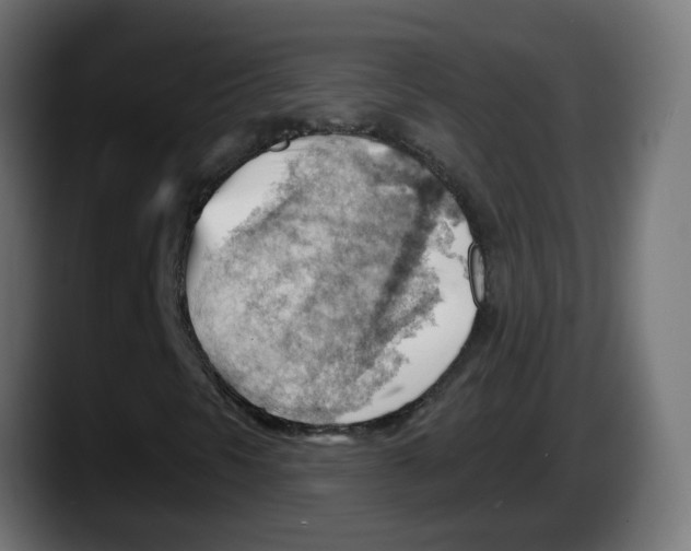 X0000087551297200705251732