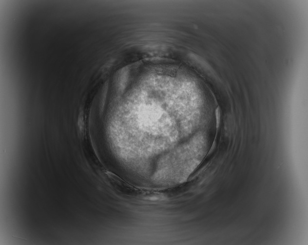 X0000087551298200705251732