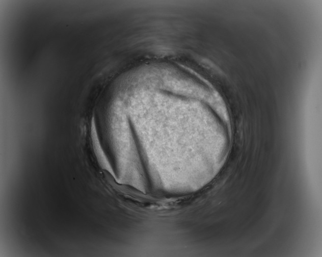 X0000087551302200705251732