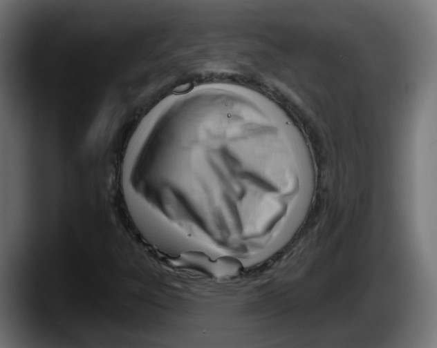 X0000087551303200705251732