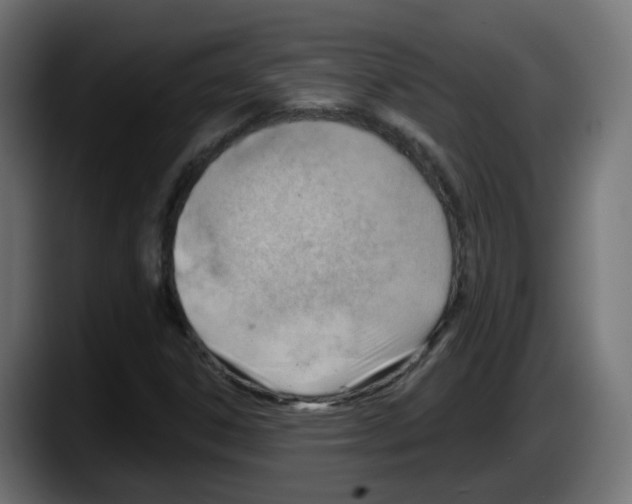 X0000087551306200705251732