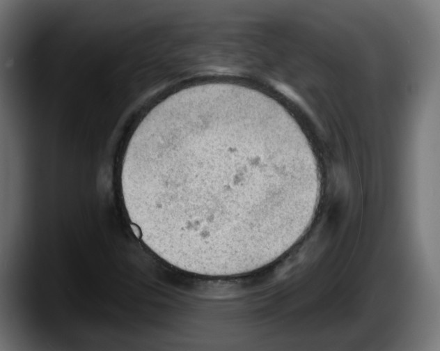 X0000087551307200705251732